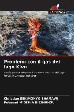 Problemi con il gas del lago Kivu - SEKIMONYO SHAMAVU, Christian;MIGISHA BIZIMUNGU, Puissant