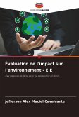 Évaluation de l'impact sur l'environnement - EIE