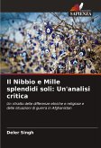 Il Nibbio e Mille splendidi soli: Un'analisi critica Il Nibbio e Mille splendidi soli: Un'analisi critica
