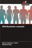 Attribuzione causale