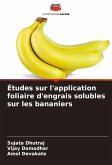 Études sur l'application foliaire d'engrais solubles sur les bananiers