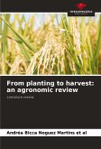 From planting to harvest: an agronomic review