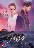 Levis Liebe (eBook, ePUB)