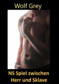 NS Spiel zwischen Herr und Sklave (eBook, ePUB)