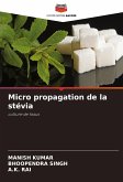 Micro propagation de la stévia