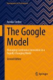 The Google Model (eBook, PDF)