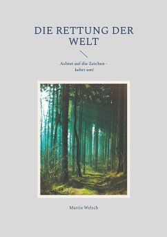 Die Rettung der Welt (eBook, ePUB) - Welsch, Martin