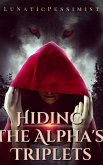 Hiding The Alpha's Triplets 2 (eBook, ePUB) Hiding The Alpha's Triplets 2 (eBook, ePUB)