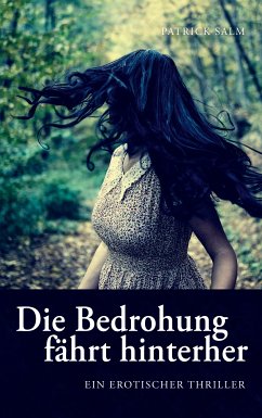 Die Bedrohung fährt hinterher (eBook, ePUB) - Salm, Patrick