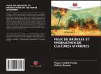 FEUX DE BROUSSE ET PRODUCTION DE CULTURES VIVRIÈRES