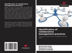 Identification of collaborative management practices - Barcelos, Bráulio;Cotta, Daysemara;Andrade, Gardenia