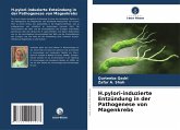 H.pylori-induzierte Entzündung in der Pathogenese von Magenkrebs H.pylori-induzierte Entzündung in der Pathogenese von Magenkrebs