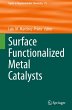 Surface Functionalized Metal Catalysts - Bild 1