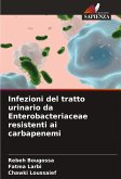 Infezioni del tratto urinario da Enterobacteriaceae resistenti ai carbapenemi