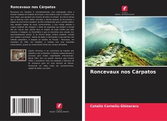 Roncevaux nos Cárpatos - Ghinararu, Catalin Corneliu