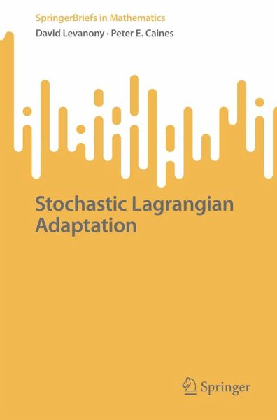 Stochastic Lagrangian Adaptation Stochastic Lagrangian Adaptation