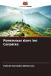 Roncevaux dans les Carpates - Bild 1