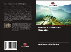 Roncevaux dans les Carpates - Ghinararu, Catalin Corneliu