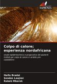 Colpo di calore; esperienza nordafricana Colpo di calore; esperienza nordafricana