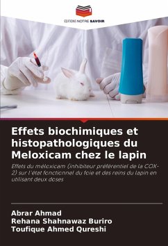 Cover Effets biochimiques et histopathologiques du Meloxicam chez le lapin