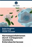 Harnwegsinfektionen durch Carbapenem-resistente Enterobacteriaceae Harnwegsinfektionen durch Carbapenem-resistente Enterobacteriaceae
