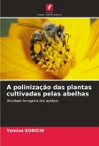 A polinização das plantas cultivadas pelas abelhas