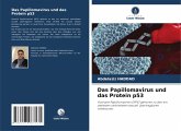 Das Papillomavirus und das Protein p53