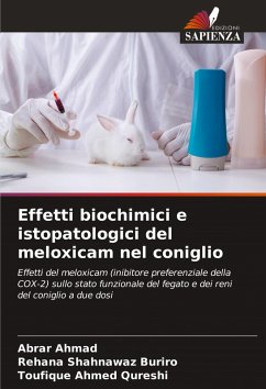 Cover Effetti biochimici e istopatologici del meloxicam nel coniglio