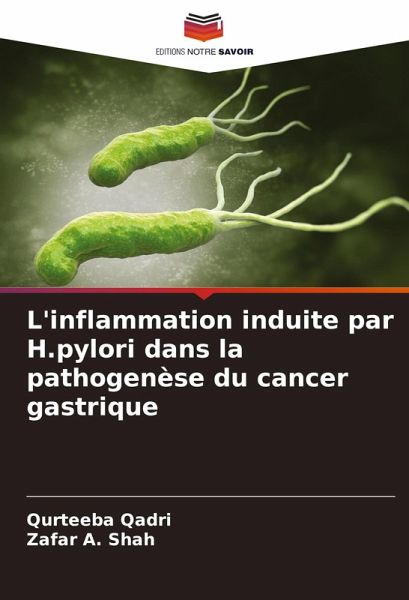 L'inflammation induite par H.pylori dans la pathogenèse du cancer gastrique