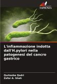 L'infiammazione indotta dall'H.pylori nella patogenesi del cancro gastrico
