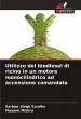 Utilizzo del biodiesel di ricino in un... - Bild 1