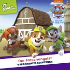 Folgen 76-79: Der Flaschengeist (MP3-Download)