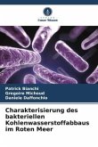 Charakterisierung des bakteriellen Kohlenwasserstoffabbaus im Roten Meer