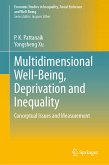 Multidimensional Well-Being, Deprivation and Inequality (eBook, PDF)