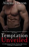 Temptation Unveiled (eBook, ePUB)