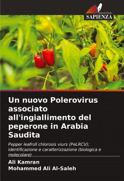 Un nuovo Polerovirus associato all'ingiallimento del peperone in Arabia Saudita Cover Un nuovo Polerovirus associato all'ingiallimento del peperone in Arabia Saudita