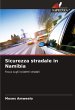 Sicurezza stradale in Namibia - Bild 1