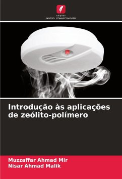 Cover Introdução às aplicações de zeólito-polímero