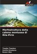 Morfostruttura della catena montuosa di... - Bild 1