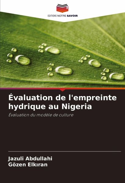 Évaluation de l'empreinte hydrique au Nigeria