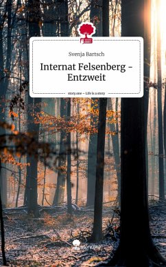Cover Internat Felsenberg - Entzweit. Life is a Story - story.one