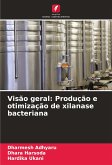 Visão geral: Produção e otimização de xilanase bacteriana