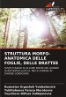 STRUTTURA MORFO-ANATOMICA DELLE FOGLIE,... - Bild 1