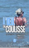 L&quote;œil en coulisse (eBook, ePUB)