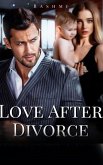 Love After Divorce (eBook, ePUB) Love After Divorce (eBook, ePUB)