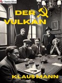 Der Vulkan (eBook, ePUB)