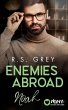 Enemies abroad (eBook, ePUB) - Bild 1