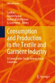 Consumption and Production in the Textile and Garment Industry (eBook, PDF)