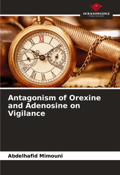 Cover Antagonism of Orexine and Adenosine on Vigilance