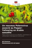 Un nouveau Polerovirus associé au Pepper-Yellowing en Arabie saoudite